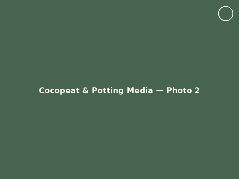 Cocopeat & Potting Media photo