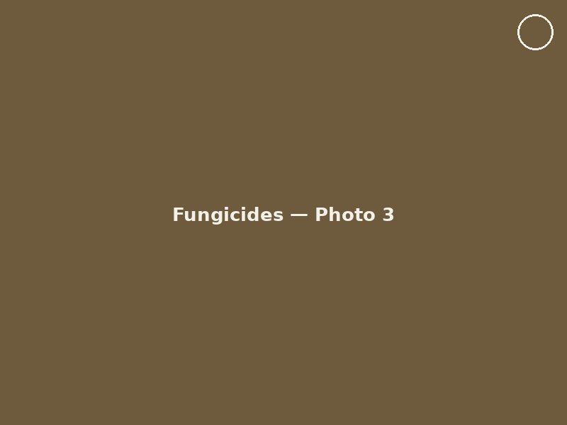 Fungicides photo