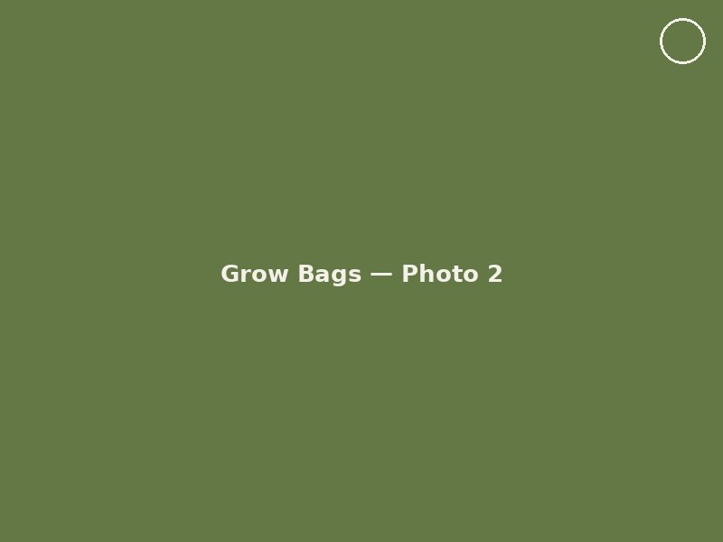 Grow Bags photo