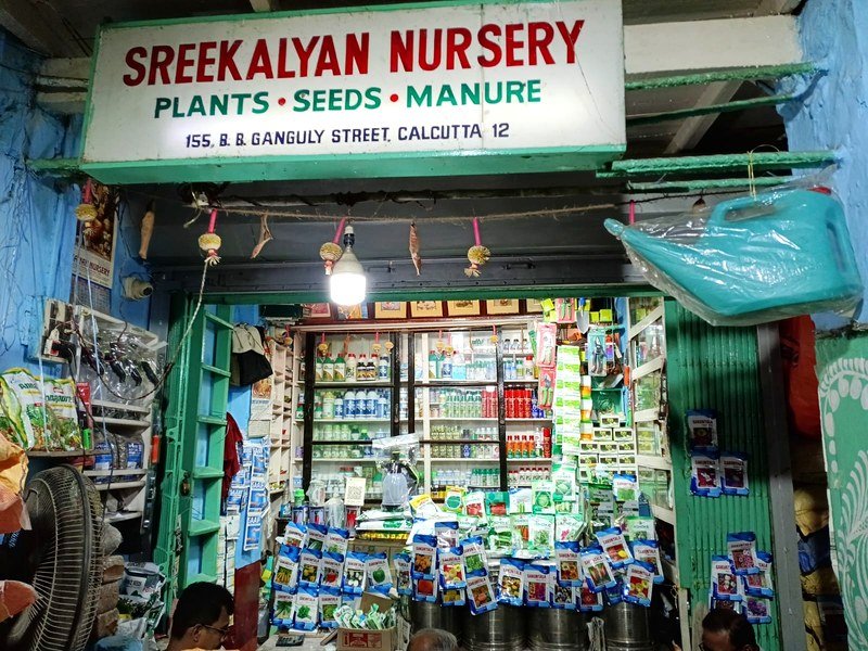 Insecticides photo
