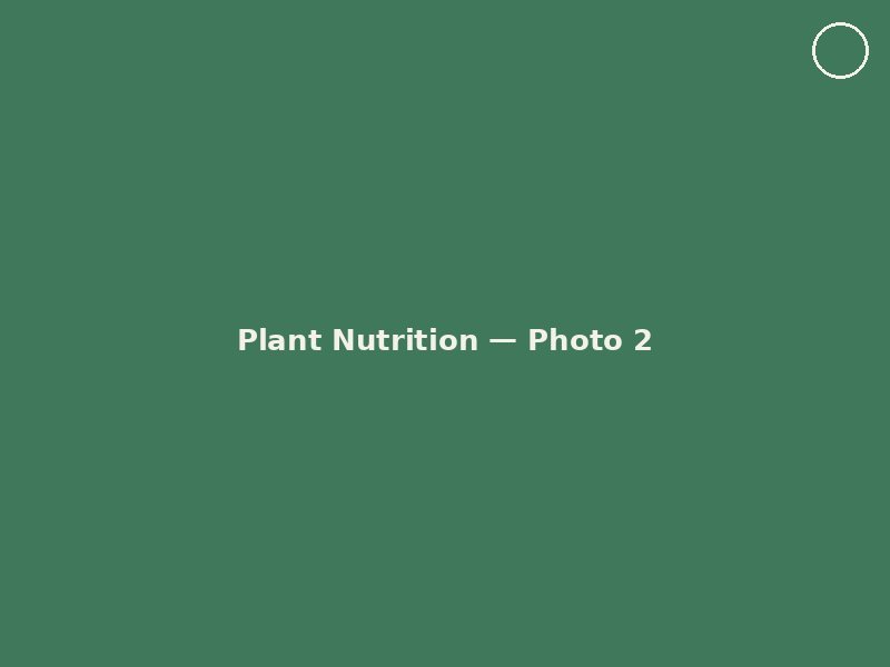 Plant Nutrition photo