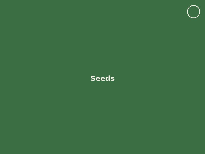 Seeds available at Sree Kalyan Nursery, Kolkata